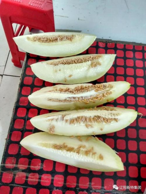 穿越带你吃瓜,带你品尝古今美食瓜