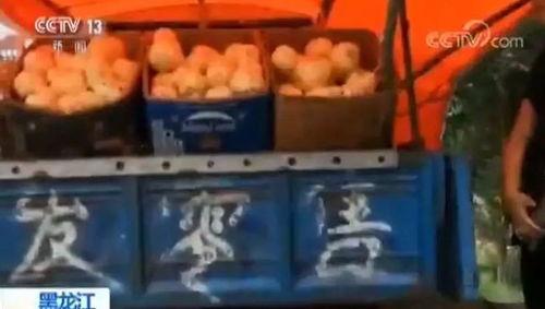 吃瓜闹肚子视频大全,笑料百出视频大全