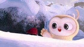 搞笑吃瓜直播视频下载