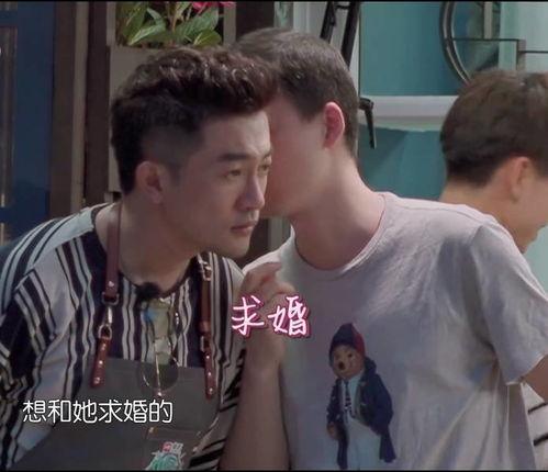 观众吃瓜场面,观众吃瓜狂欢，娱乐圈风云再起