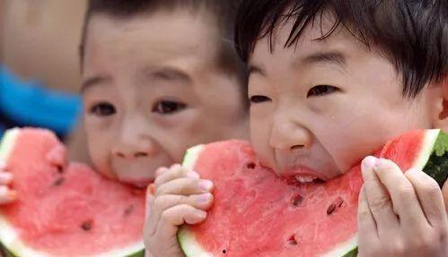 摘瓜给你吃,共享美好时光的温馨故事