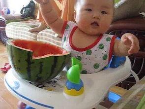 宝宝发烧可以吃贝贝瓜,贝贝瓜助力降温呵护