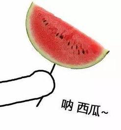 吃瓜之,一场全民参与的娱乐盛宴