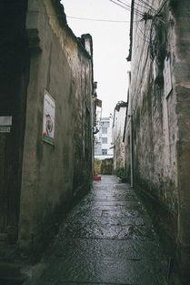 歙县吃瓜在哪里,探寻“吃瓜”背后的文化韵味