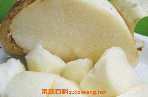 日本土瓜怎么吃,日本土瓜的多彩食法探索