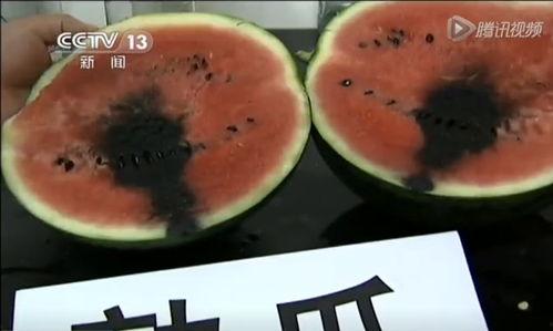 老瓜针怎么吃,老瓜针的多样食用方法揭秘