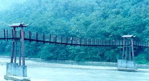 安澜桥吃瓜,揭秘桥上那些事儿