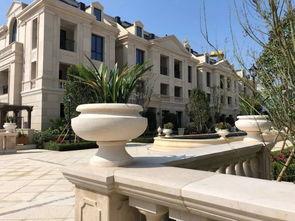 绿城温州吃瓜,一场别开生面的“吃瓜”盛宴