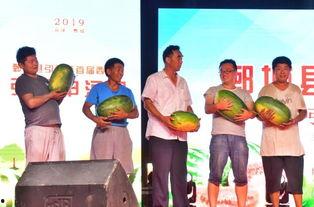 鄄城吃瓜的视频,一场视觉与味蕾的双重盛宴