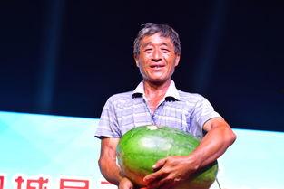 鄄城吃瓜的视频,一场视觉与味蕾的双重盛宴