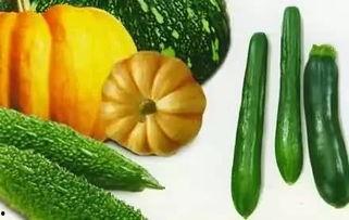 gogo吃瓜,揭秘娱乐圈那些不为人知的幕后故事