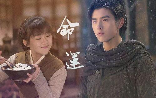 宁缺保持吃瓜,揭秘娱乐圈幕后风云