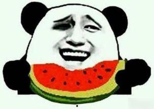 扑街的吃瓜群众