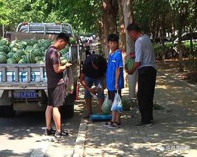 民众吃瓜看打仗,吃瓜群众视角下的战争风云