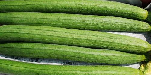 吃瓜不如看瓜,看瓜也能涨知识