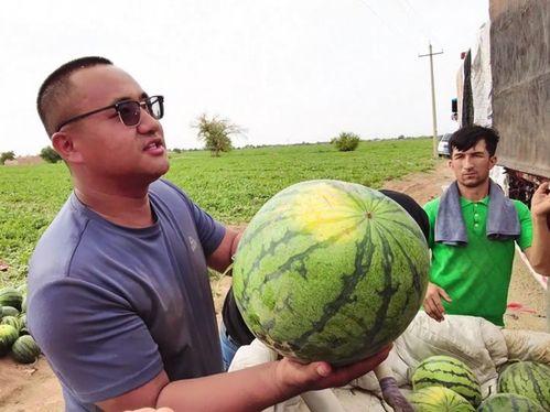 吃瓜ww片,一场网络热传的视觉盛宴