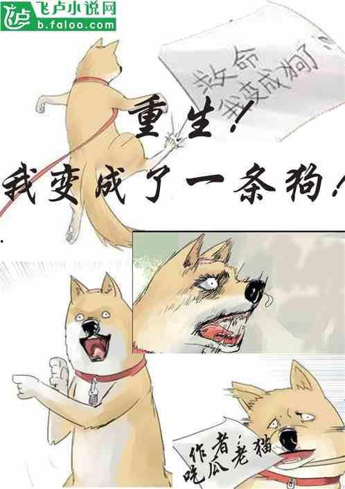 惊讶吃瓜小说在线阅读,揭秘惊讶吃瓜小说在线阅读背后的故事