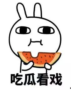 搭讪吃瓜吗,揭秘社交场合中的趣味互动