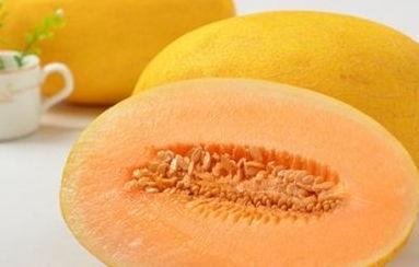 吃哈密瓜可以吃黄瓜吗