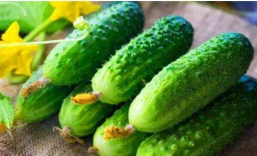 吃哈密瓜可以吃黄瓜吗