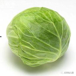 卷心菜吃瓜,一场味蕾的盛宴