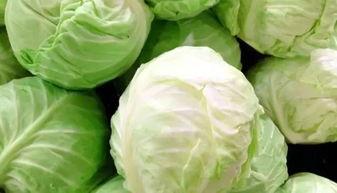 卷心菜吃瓜,一场味蕾的盛宴