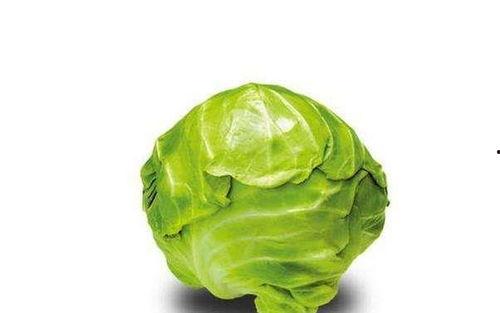 卷心菜吃瓜,一场味蕾的盛宴